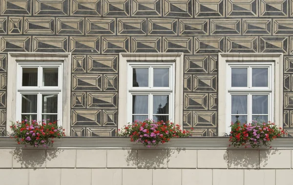Ilusión pared rústica, ventanas y cajas de flores — Foto de Stock
