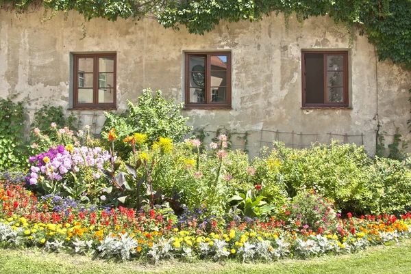 Romantisk trädgård med gamla byggnad — Stockfoto