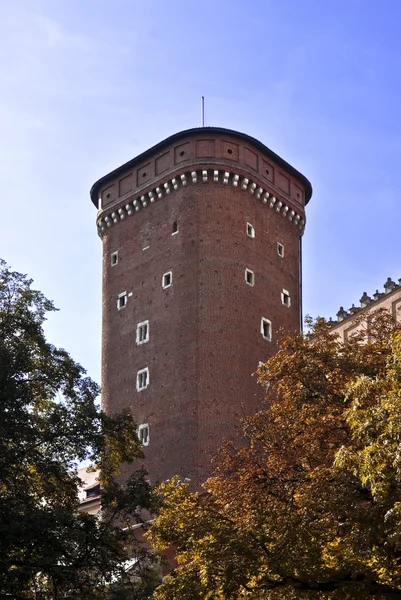 Torre del castello, Wawel Cracovia — Foto Stock