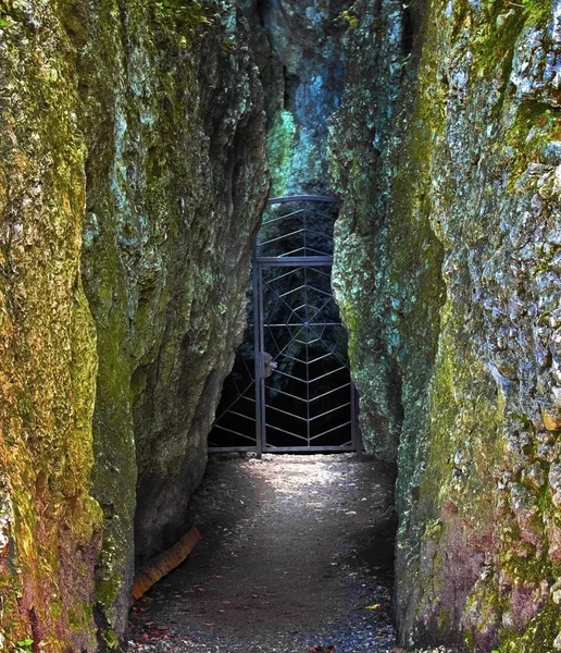 Mysterious entrance to cave — Stock Photo, Image