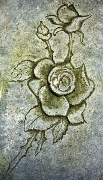 Каменная роза старого гравера — стоковое фото