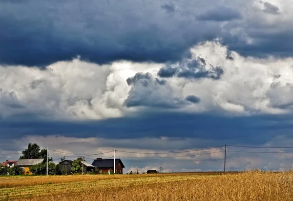Ekologiska fältet gröna landskapet innan stormen — Stockfoto