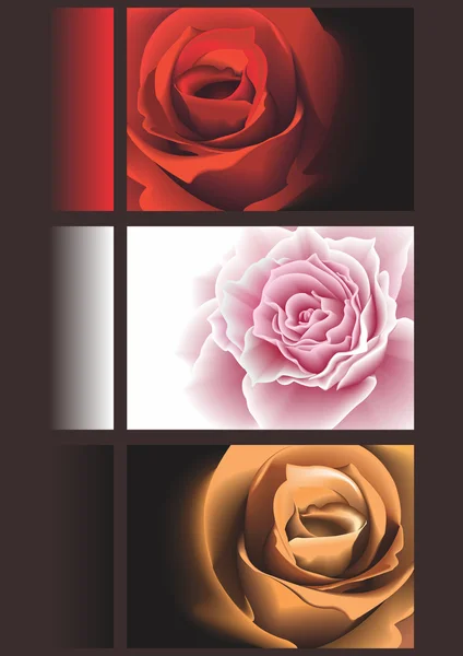 Bannières vectorielles avec roses. Illustrations De Stock Libres De Droits