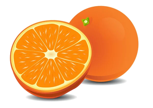 熟したオレンジ — ストックベクタ