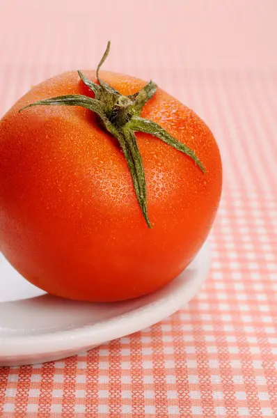 Pomidor — Zdjęcie stockowe