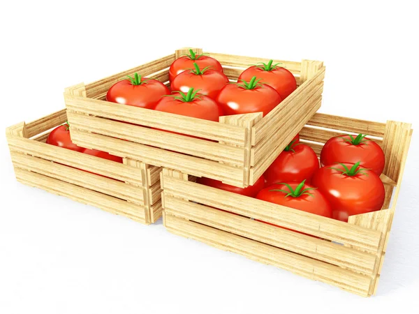 stock image Tomato