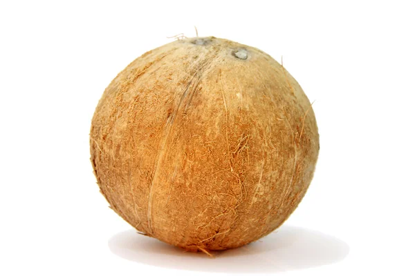 Весь кокосовый орех — стоковое фото