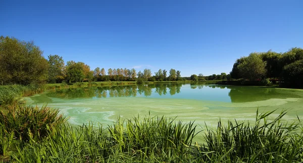 stock image Small lake