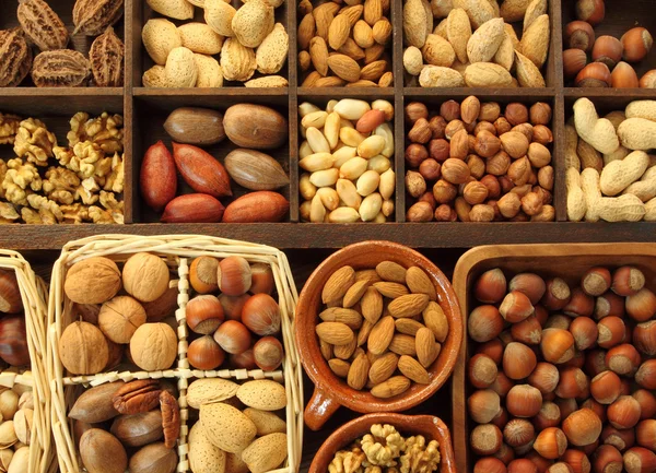 Nut types — Stock Photo, Image