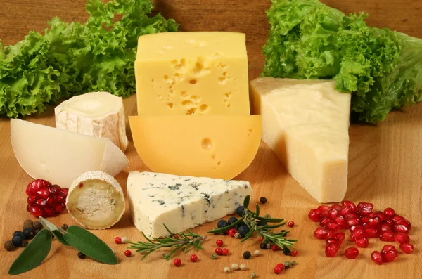Tipos de queso —  Fotos de Stock