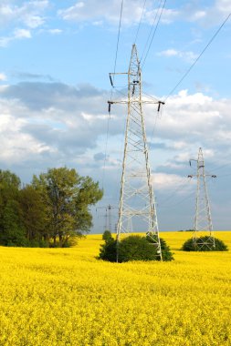 elektrik direkleri ve tarım arazisi