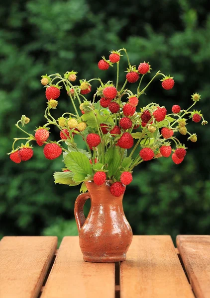 stock image Wild strawberry