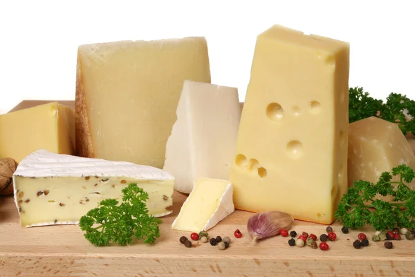 Cheese choice — Stock Photo, Image