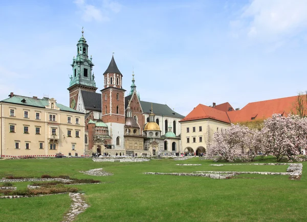 Wawel a Cracovia — Foto Stock