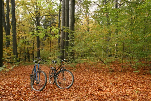 Viaje de otoño —  Fotos de Stock