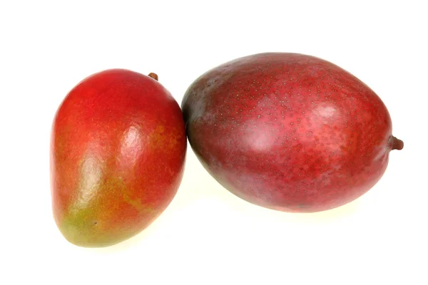 Isolated mango — Stock Photo, Image
