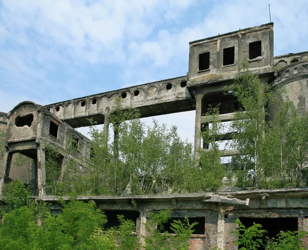 Abandoned plant — Stock Photo, Image