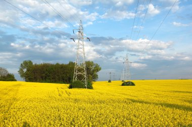 elektrik direkleri ve tarım arazisi