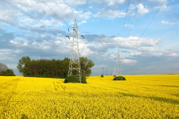 Electric pylons and farmland — Stock Photo, Image