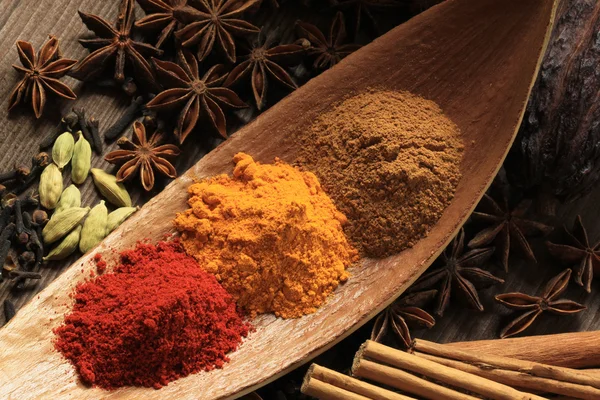 stock image Spice powders