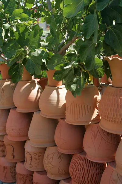 Pots and figs — Stock Photo, Image
