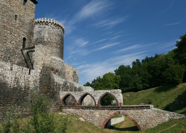 Castle in Poland clipart