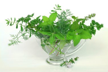 Green herbs clipart