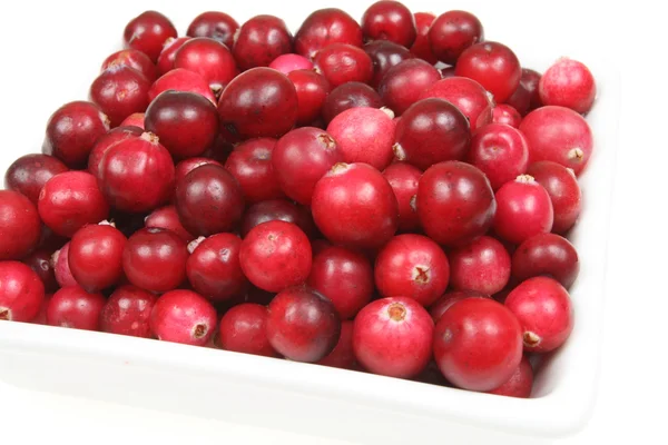 Cranberries. — Stock Photo, Image