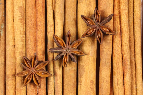 Cinnamon and aniseed — Stock Photo, Image