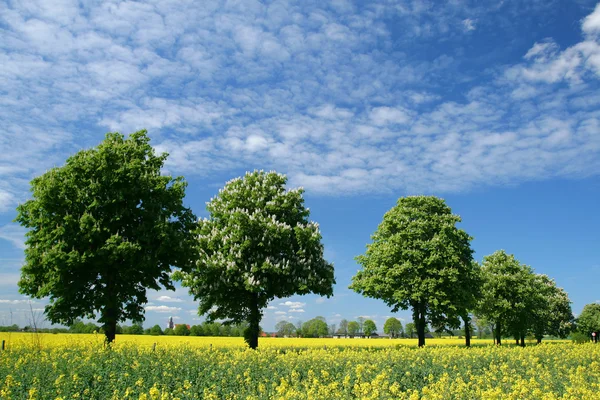 stock image Poland landscape