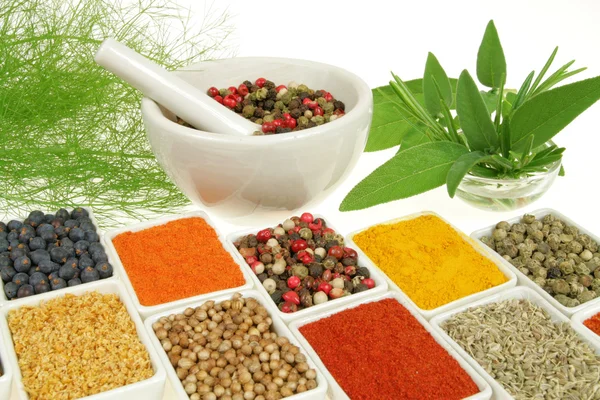 stock image Herbs and spices