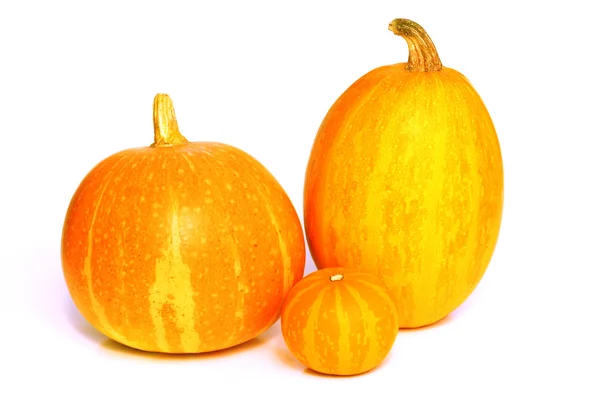 Harvest fruit - 3 pumpkins — Stock Photo, Image