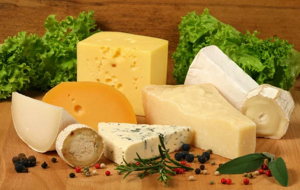 stock image Cheese
