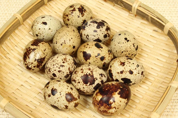 Huevos de codorniz . —  Fotos de Stock