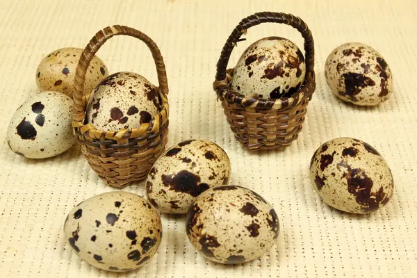 Quail eggs. — Stock Photo, Image