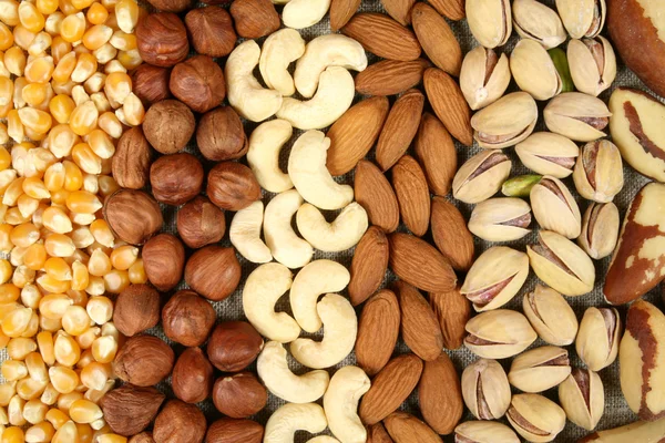 Nuts — Stock Photo, Image