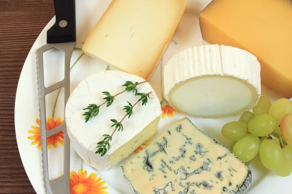 stock image Cheese varieties