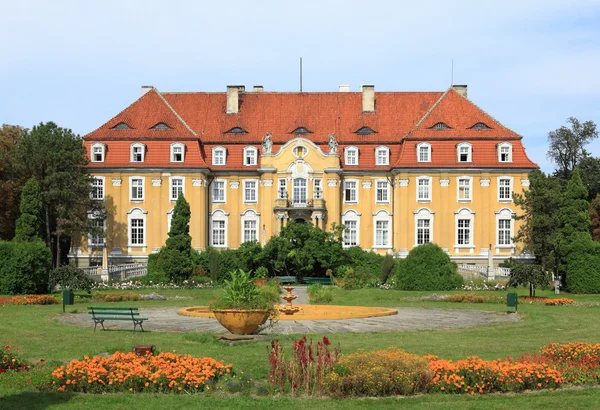 Polonya kochcice Sarayı — Stok fotoğraf
