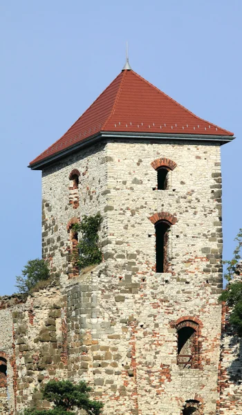 Castelo na Polónia — Fotografia de Stock