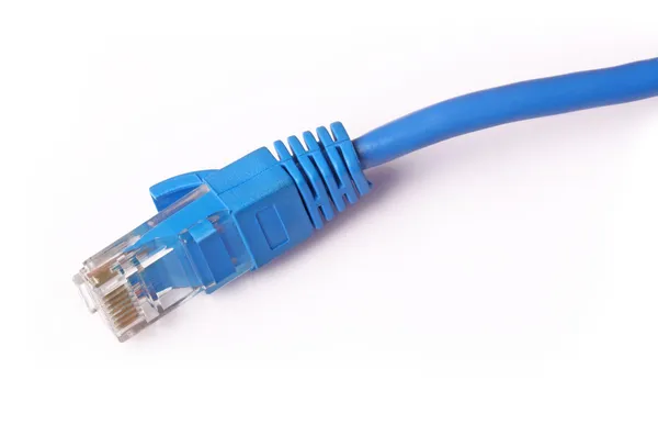 stock image Computer network cable
