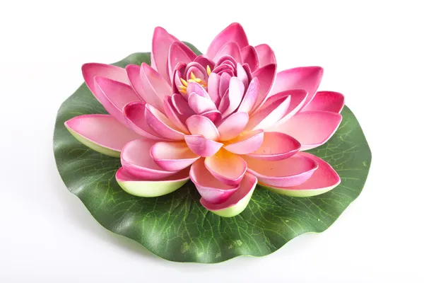 Fleur en plastique d'un lotus — Photo