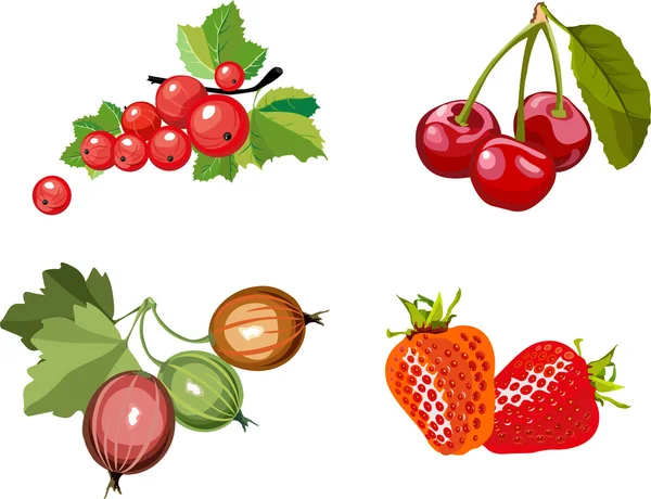 Множество ягод — стоковый вектор