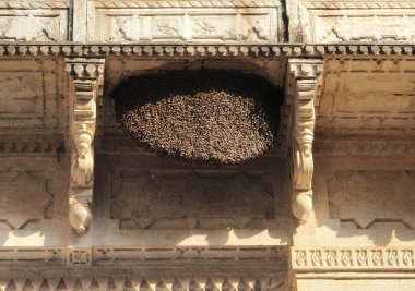 Bees hive at Bundi Palace clipart