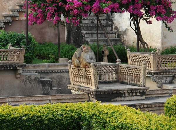 Дворец Бунди — стоковое фото