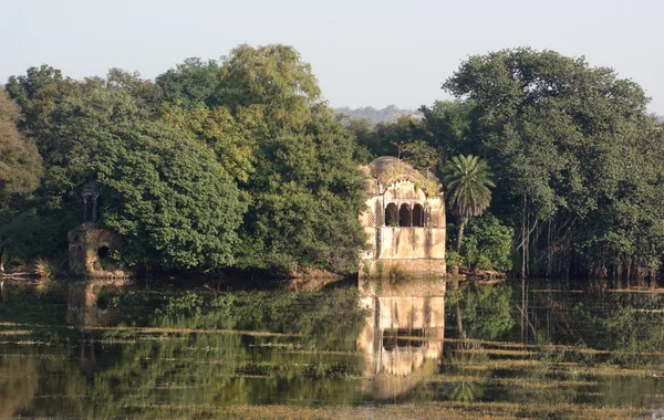 Ranthambore Milli Parkı — Stok fotoğraf
