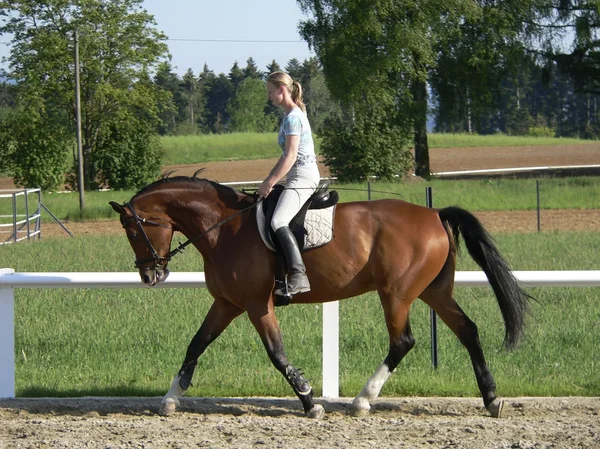 Koně jezdecké Mladá blondýnka — Stock fotografie