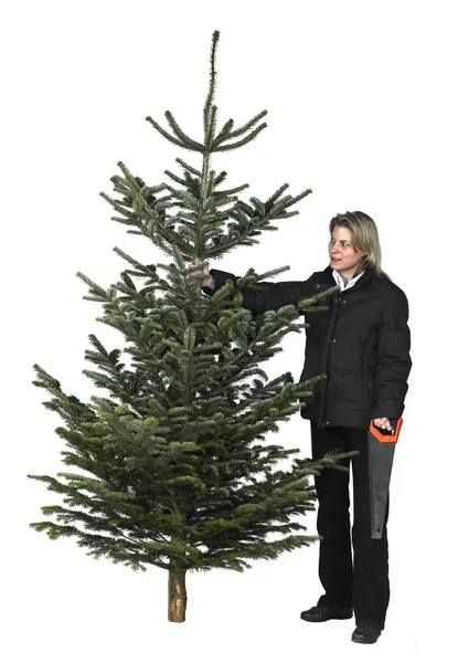 Frau und Weihnachtsbaum — Stockfoto