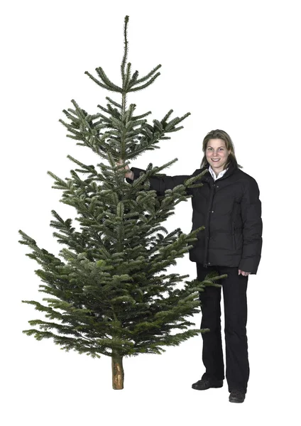Kadın ve Noel ağacı — Stok fotoğraf