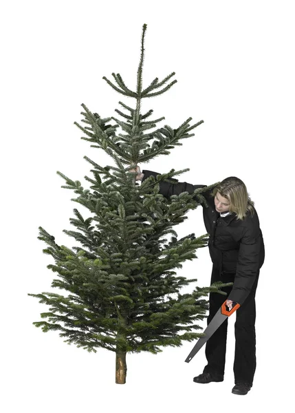 Žena a vánoční stromeček — Stock fotografie