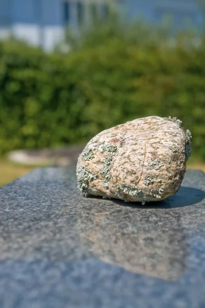 小石の石の上 — ストック写真
